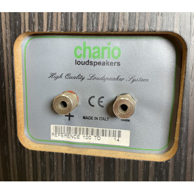 Chario Tower 100